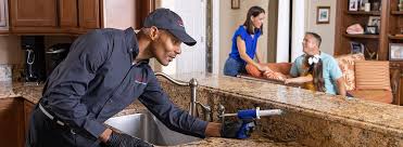 Emergency Pest Control in Hallandale Beach, FL