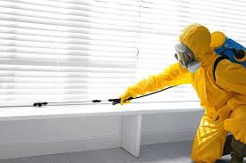 Best Pest Control for Multi-Family Homes  in Hallandale Beach, FL